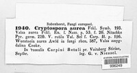 Cryptospora aurea image